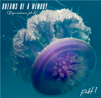 pH1 - Dreams of a Memory (2 X 12") - Horizon Records