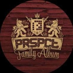 Family Album - VA - 3X12" - PRSPCT Recordings