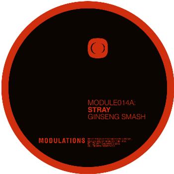 Stray - Modulations