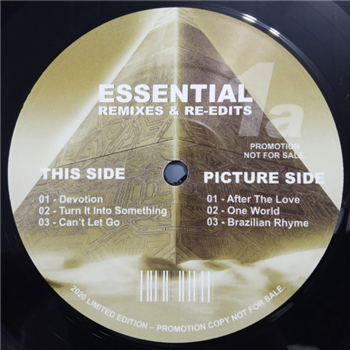 VARIOUS ARTISTS - Essential Remixes & Re-Edits 012 - Essential Remixes & Re-Edits
