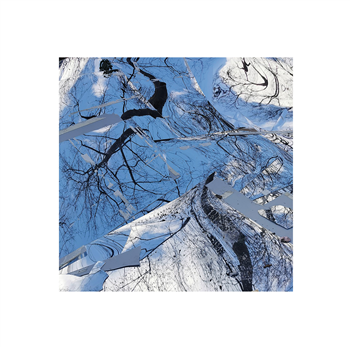 Flore - Legacy & Broken Pieces - POLAAR Flore - Legacy & Broken Pieces - POLAAR