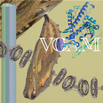 Pariah - Caterpillar - Voam