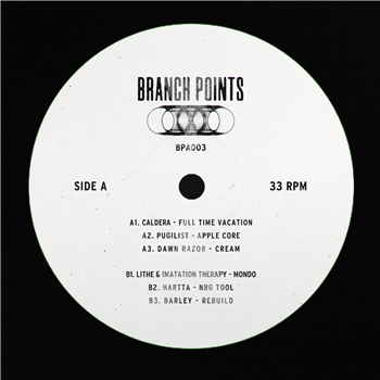 Various Artists - Branch Points 003 (140G Recycled Vinyl) - Branch Points