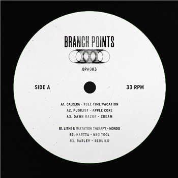 Various Artists - Branch Points 003 (140G Recycled Vinyl) - Branch Points Various Artists - Branch Points 003 (140G Recycled Vinyl) - Branch Points