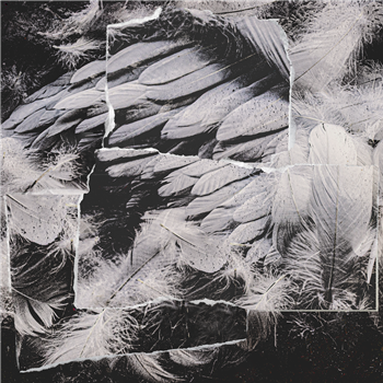 VIOLET POISON - ALBATROS EP - esperpento