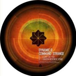 Dynamic & Command Strange - A Girl Like You - Inform Records