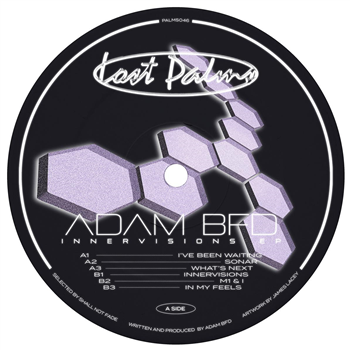 Adam BFD - Innervisions EP - Lost Palms