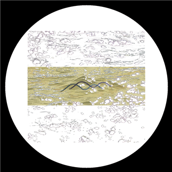 SL Jung - Inland Delta (Coloured Vinyl) - Seafoam Fiction