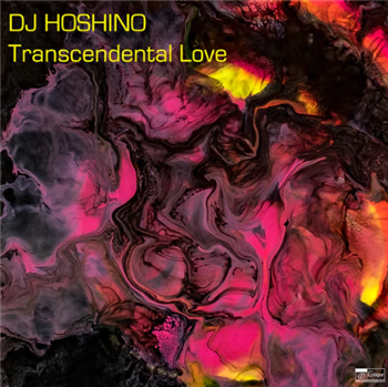 DJ Hoshino - Transcendental Love - Critique