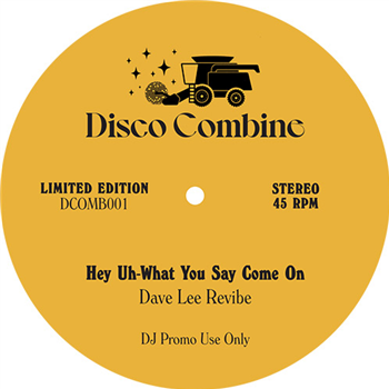 Various Artists - Disco Combine 001 - Disco Combine