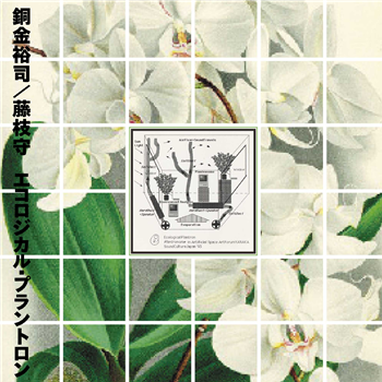 YUJI DOGANE & MAMORU FUJIEDA - ECOLOGICAL PLANTRON - Em Records