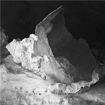 Flora Yin-Wong - The Sacrifice - First Light Records Flora Yin-Wong - The Sacrifice - First Light Records
