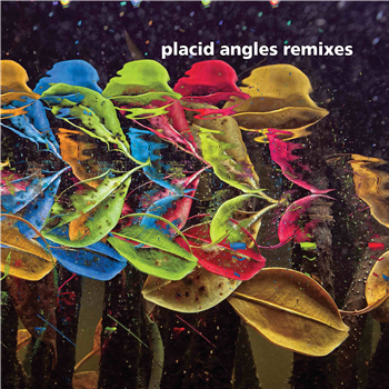 Placid Angles - Touch The Earth Remixes (2 X 12") - Figure