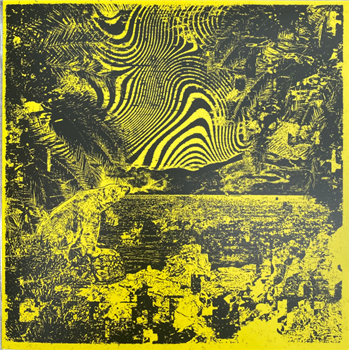 Your Planet Is Next / Jotel California - Jotel California 7" - Warning Your Planet Is Next / Jotel California - Jotel California 7" - Warning