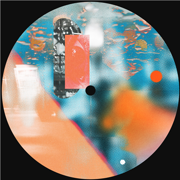 Data Memory Access, DJ Tjizza, Shaque - PICNIC005 EP - Picnic Records