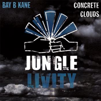 Bay B Kane - Concrete Clouds - Junglelivity