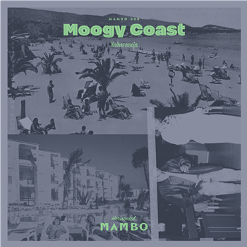 Moogy Coast - Koherencja (LP + DL Code) - Horisontal Mambo