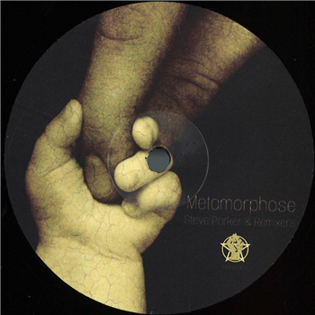 Steve Parker - Metamorphose - ART21 Steve Parker - Metamorphose - ART21