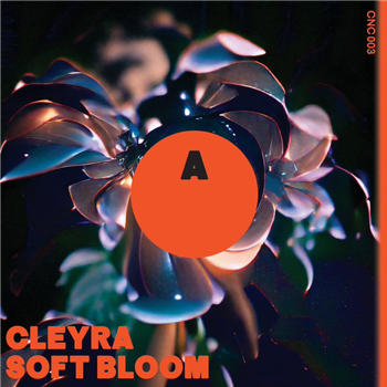 Cleyra - Soft Bloom - Club Night Club