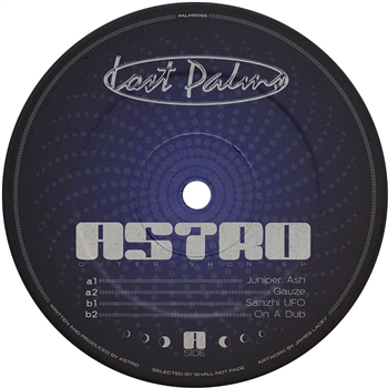 Astro - Outer Shon EP [purple vinyl / label sleeve] - Lost Palms