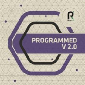 Programmed V2.0 - VA (2 x 12") - Program