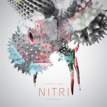 Nitri - Secrets EP - Horizons Music