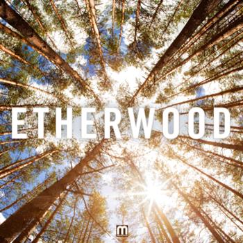 Etherwood - LP - Med School Music