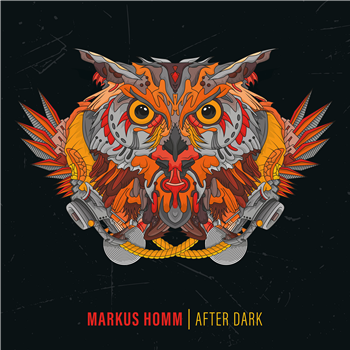 Markus Homm - After Dark (2 X 180G LP) - Bondage-Music