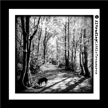 Al Bradley - Little Treasures (2 X LP) - 3am Recordings
