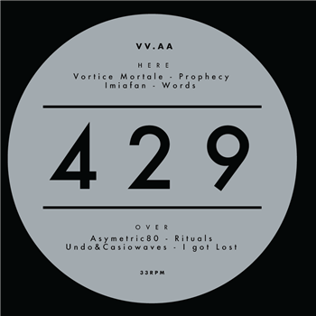 VARIOUS ARTISTS - VV.AA 429 - Waste Editions VARIOUS ARTISTS - VV.AA 429 - Waste Editions