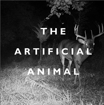 Broken English Club - The Artificial Animal - Death and Leisure