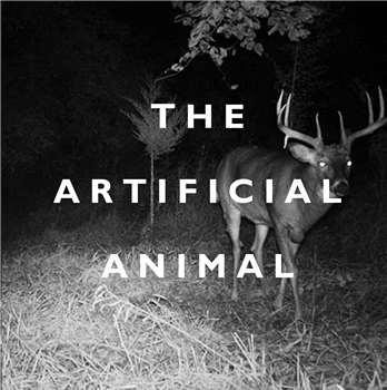 Broken English Club - The Artificial Animal - Death and Leisure Broken English Club - The Artificial Animal - Death and Leisure