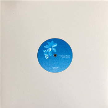 Conoley Ospovat - Pure Intuition - Continental Drift Records Conoley Ospovat - Pure Intuition - Continental Drift Records