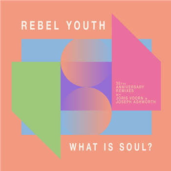 Rebel Youth - What is soul? (30th anniversary remixes) - Systematic Recordings