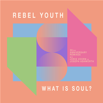 Rebel Youth - What is soul? (30th anniversary remixes) - Systematic Recordings Rebel Youth - What is soul? (30th anniversary remixes) - Systematic Recordings