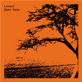 Losoul - Open Door (Expanded 2 x 12”) - Running Back Double Copy