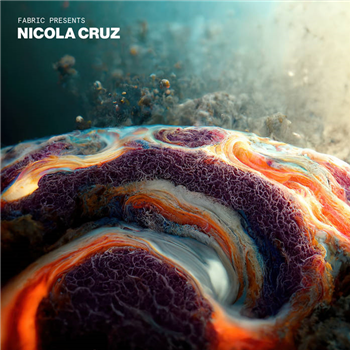 Fabric Presents - Nicola Cruz (2 X LP) - Fabric Worldwide