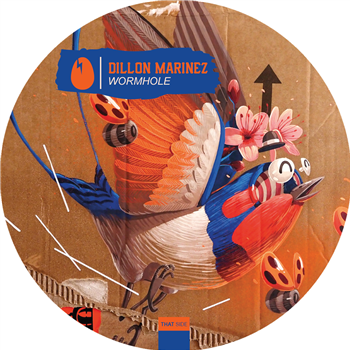 Dillon Marinez - Wormhole - Dirtybird