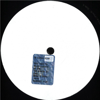 Pino R. - The Analog Signal - Besazio Productions Pino R. - The Analog Signal - Besazio Productions