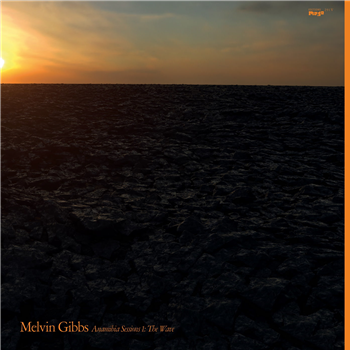 Melvin Gibbs - Anamibia Sessions 1: The Wave - Editions Mego