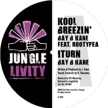 BAY B KANE FT. ROOTYPEA - KOOL BREEZIN - Junglelivity