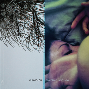 Cubicolor - Sometime Not Now (2 X LP + Booklet) - ANJUNADEEP