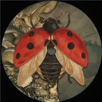 Floog - Enfasi Records 003 - Enfasi Records Floog - Enfasi Records 003 - Enfasi Records