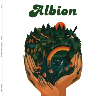 Albion - FOREST JAMS