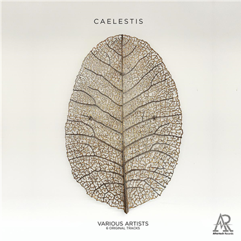 Various Artists - Caelestis - Aftertech Records