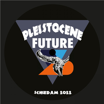 Bas Mooy - Pleistocene Future 2 - Pleistocene Future