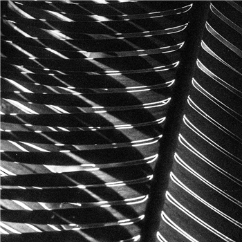 Revivis - Trip To Luzon EP - Santo Tomas Revivis - Trip To Luzon EP - Santo Tomas