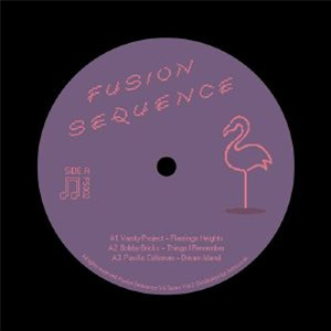 VANITY PROJECT/BOBBY BRICKS/PACIFIC COLISEUM/THE VARIABLE CLUB/UNKNOWN MOBILE/LASEECH/SORCERER - Various 2 (180 grams) - Fusion Sequence