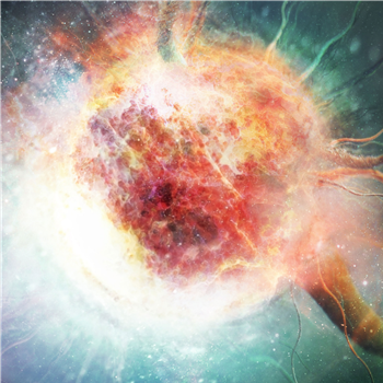 Various Artists - Medulla (Marbled Vinyl) - Nebulae Records Various Artists - Medulla (Marbled Vinyl) - Nebulae Records