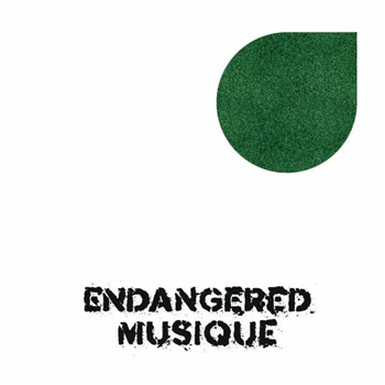 Higher Level / Native Groove / Side Kick - Easy Trax Part 1 (heavyweight vinyl 12") - Endangered Musique Higher Level / Native Groove / Side Kick - Easy Trax Part 1 (heavyweight vinyl 12") - Endangered Musique